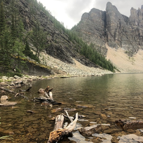 Meet your Posher, Ken - Picture 1 of 1